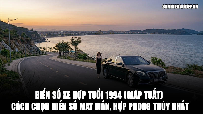 Biển Số Xe Hợp Tuổi 1994 (Giáp Tuất) - Cách Chọn Biển Số May Mắn, Hợp Phong Thủy Nhất